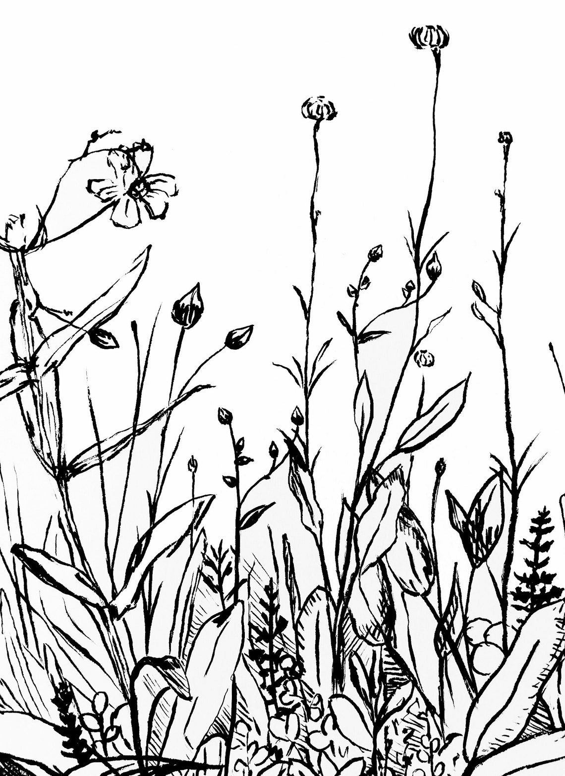 Wildflowers Ink Drawing Print Home Décor Wall Art Flowers Etsy