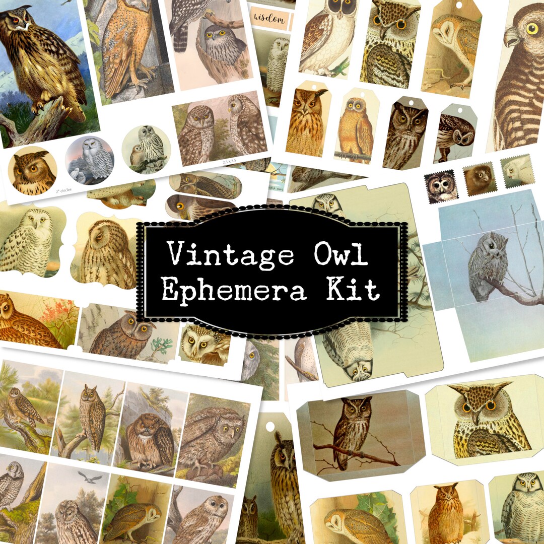 Owl Embellishments for Scrapbooking Digital Download, Woodland Junk ...