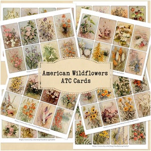 American Wildflower ATC Cards, Vintage Flower Printable Ephemera, Collage Sheets, Mixed Media Supplies, Junk Journal Cards, Instant Download
