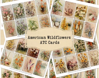 American Wildflower ATC Cards, Vintage Flower Printable Ephemera, Collage Sheets, Mixed Media Supplies, Junk Journal Cards, Instant Download