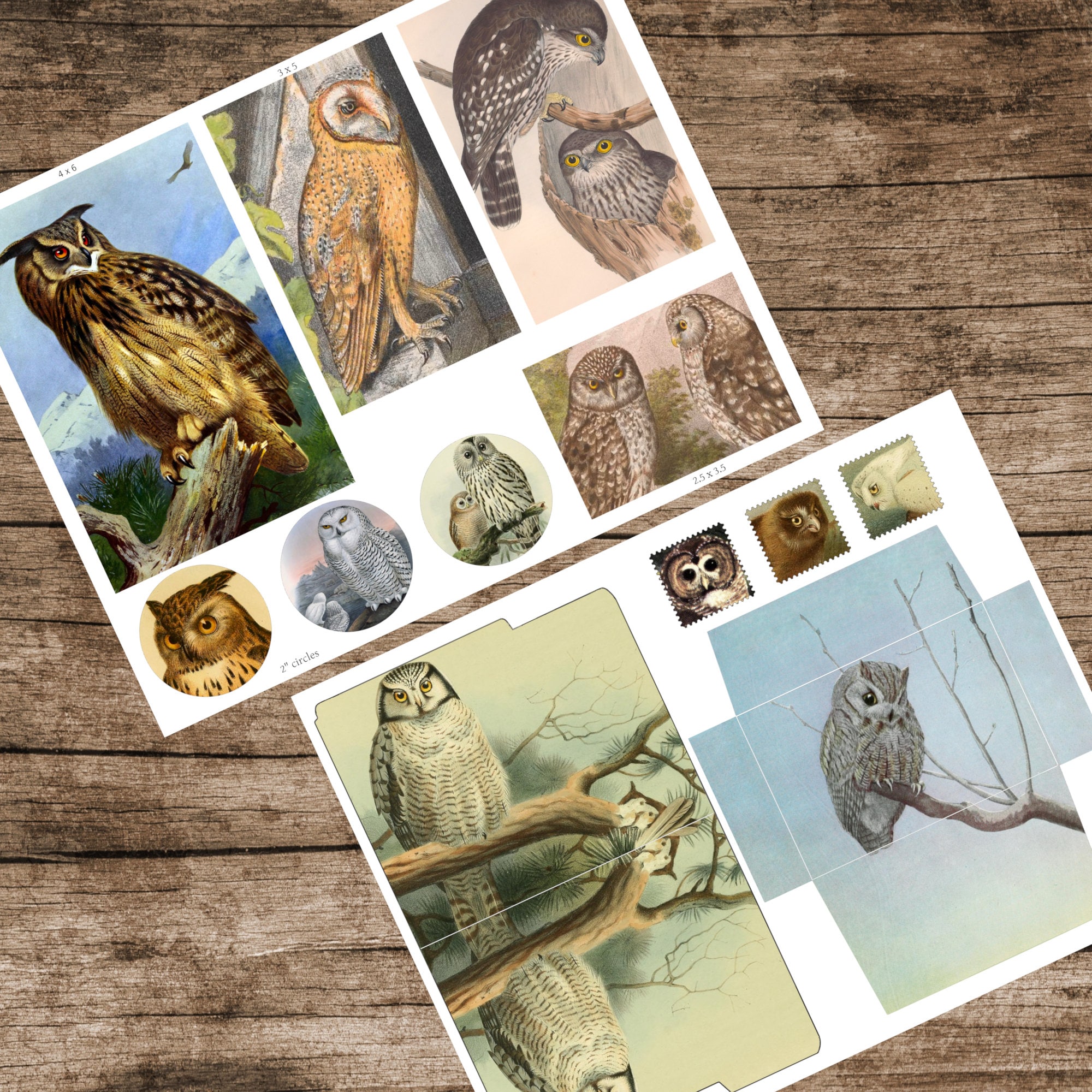 Owl Embellishments for Scrapbooking Digital Download, Woodland Junk ...
