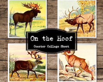 Cabin Life DIY Coasters, Moose Coaster, Elk Decor, Caribou Print, Decoupage Paper for Small Projects, Ephemera Cards