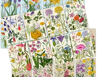 Vintage Mountain Wildflower Prints: Floral Ephemera, ATC Cards (Digital Download)