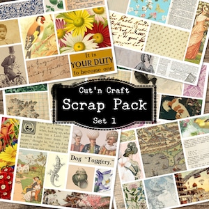 Scrap Pack, Collage Scraps, Paper Bits, Mixed Media, Master Board, Card Making, Vintage Ephemera, Smash Book, Printable, Instant Download