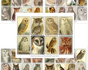 Vintage Owls Junk Journal Ephemera, Owl Print Illustration, Bird Junk Journal, Bird Art, Owl Printable, Antique Owl Print, ATC Cards