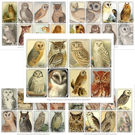 Vintage Owls Junk Journal Ephemera, Owl Print Illustration, Bird Junk Journal, Bird Art, Owl Printable, Antique Owl Print, ATC Cards