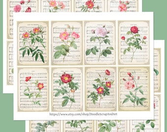 Sheet Music Art with Rose Illustrations, Vintage Ephemera for Journals, Vintage Sheet Music, Floral Digital Print,  Printable Collage Sheets