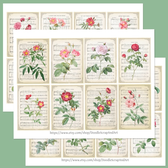 Sheet Music Art with Rose Illustrations, Vintage Ephemera for Journals, Vintage Sheet Music, Floral Digital Print,  Printable Collage Sheets
