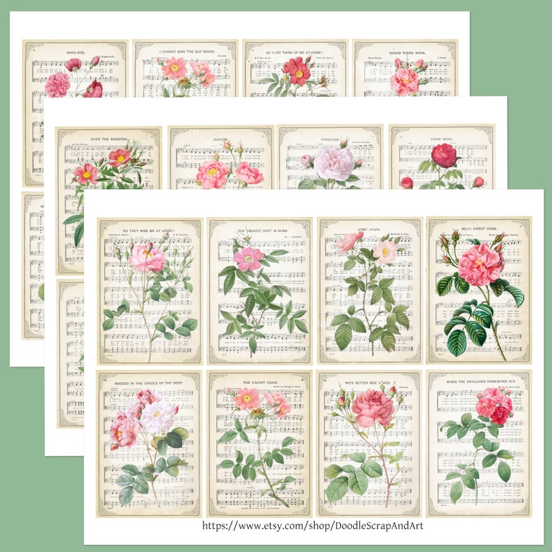 May include: Twelve digital collage sheets featuring vintage illustrations of pink roses on a background of sheet music. The roses are in various stages of bloom and are surrounded by green leaves. The sheet music is in black and white and features musical notes and lyrics.