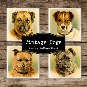 Vintage honden onderzetter set, hondencollageblad, antieke hondenafbeeldingen, vierkante dagboekkaarten, magneetafbeelding, afdrukbaar decoupagepapier