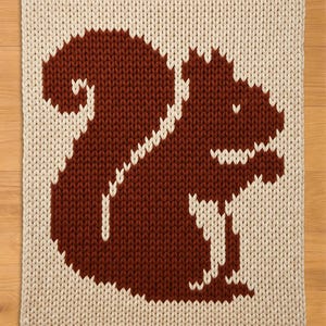 May include: A knitted square rug featuring a brown squirrel design on a cream background. The squirrel is depicted in a simple, pixelated style, with a fluffy tail and a smiling face. The rug is made of thick yarn.