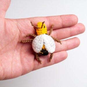 Insects Crochet Patterns Bundle. Bee Pattern, Ladybug Pattern, Spider ...