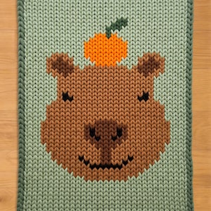 May include: A knitted blanket featuring a brown capybara face with an orange fruit on its head. The blanket has a light green background and a darker green border. The capybara's face is detailed with a black smile and eyes.
