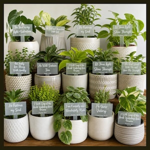 May include: An assortment of potted plants with various green foliage. Each plant is in a decorative white or gray pot and has a small sign with a Bible verse. The signs have phrases like "The Lord is my light" and "He restores my soul."