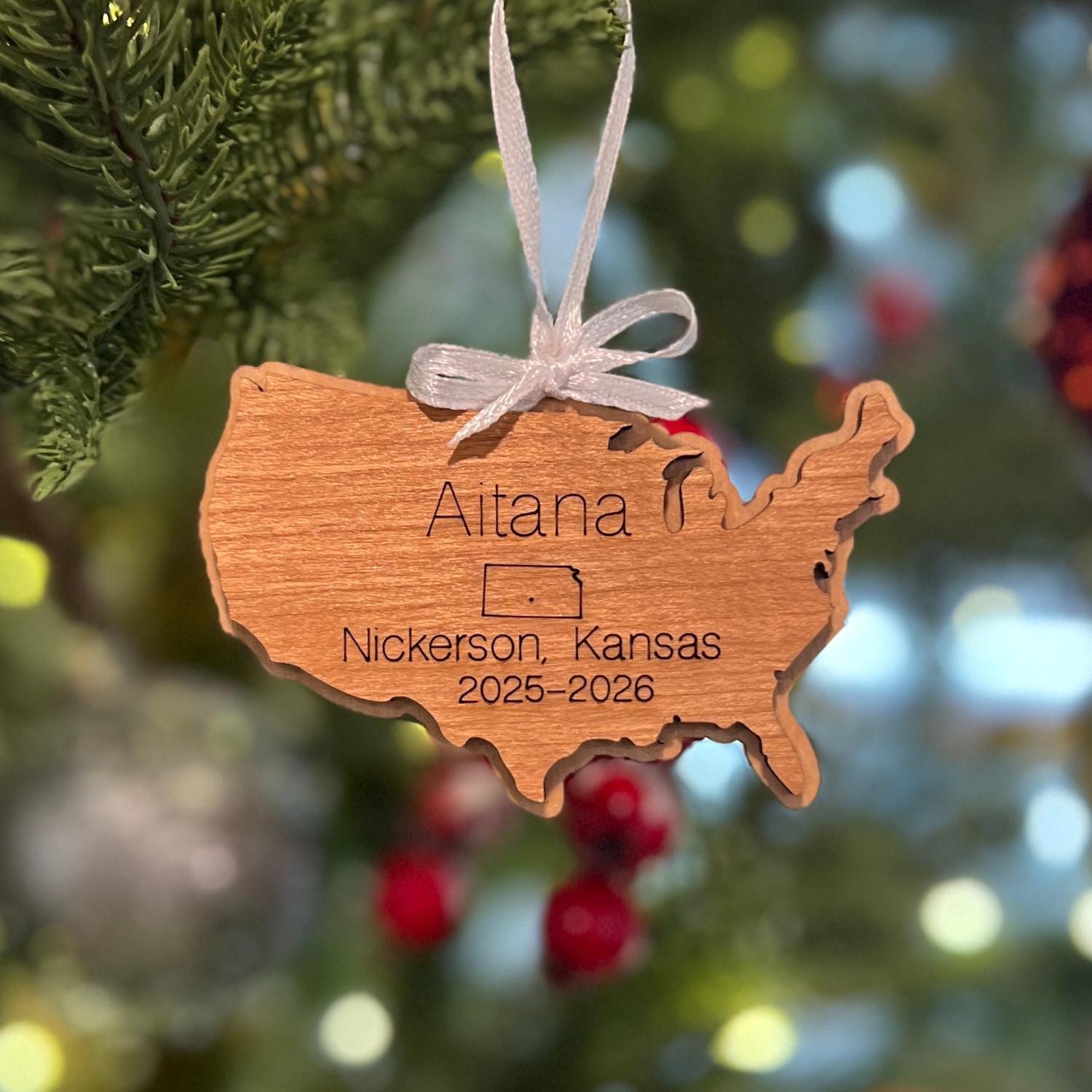 Exchange Student Ornament - Etsy