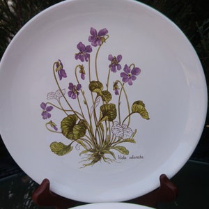 R.B. Bernarda, Portugal, Set von vier Frühstückstellern, botanische Kräuter in lateinischer Schrift, Blumenteller, weiße Teller, grüne Zierteller