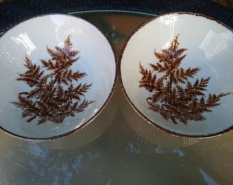 Johnson Brothers, Stonecrest, Fern Pattern, Set Of Two Bowls, Brown Fern And Trim, Stoneware