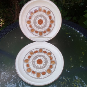 Vintage Forma Stone, set van twee dinerborden, bruin, steengoed, bloemencentrum, bruine rand, gebruik van oven tot tafel