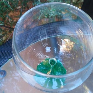 May include: A clear, round glass bowl with water and a green decorative element inside. The bowl sits on a glass-topped table with a woven blue base. Green foliage is visible in the background.
