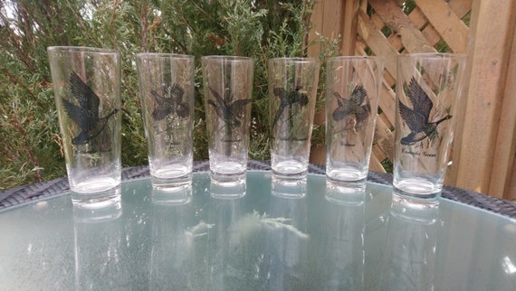 Vintage Large Wild Bird Series Tall Drinking Glasses, Water Glasses, Barware  Glasses, Cabinet Decor, Collectible Glassware-set of Six 