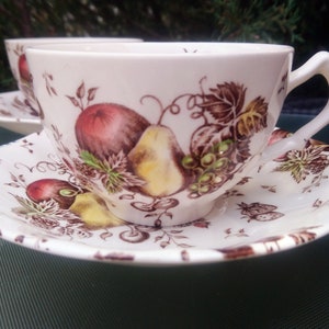 Johnson Brothers &quot;Autumn&#39;s Delight&quot; Pattern, Discontinued 1960-1978, Two Cups And Saucers, Brown With Multi Colored Fruit, Scalloped Edge