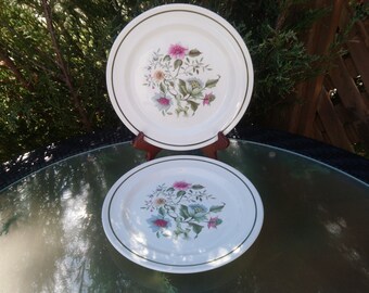 Puede incluir: Dos platos de cena de cerámica blanca con un diseño floral verde. Los platos tienen un borde dorado y están apilados uno encima del otro.