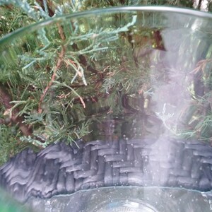 May include: A close-up of a clear glass vase with a green rim, partially filled with water. The vase is sitting on a black woven surface, with green foliage visible through the glass.