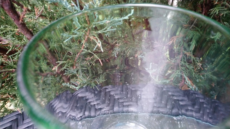 May include: A close-up of a clear glass vase with a green rim, partially filled with water. The vase is sitting on a black woven surface, with green foliage visible through the glass.