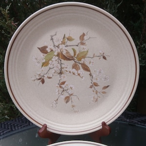 Royal Doulton, &quot;Wild Cherry&quot; Pattern,  Lambethware, Set Of Two Dinner Plates, 1980s Tableware, Vintage, Ceramic,