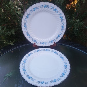 Johnson Brothers "Snowhite Regency" Patroon, Gemaakt in Engeland, versierd door soevereine pottenbakkers in Canada, Set van twee dinerborden, wervelrand