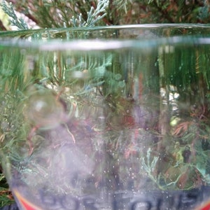 May include: A clear glass with a green rim. The glass is partially filled with a green liquid. The glass is sitting on a table.