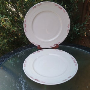 Vintage Syracuse China Restaurant Ware oder Hotel ware, braunes Florales Dekor auf weißem Hintergrund, zwei große Speiseteller, Vintage Geschirr