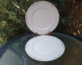 Vintage Syracuse China Restaurant Ware Or Hotel Ware, Brown Floral Decor On White Background, Two Large Dinner Plates, Vintage Servies