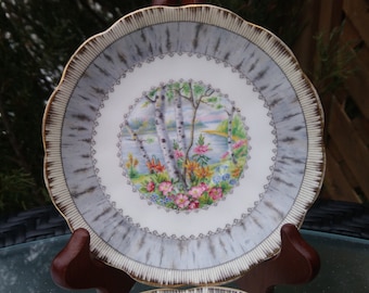 Royal Albert "Silver Birch" Pattern Four Tea Cup Saucer Plates
