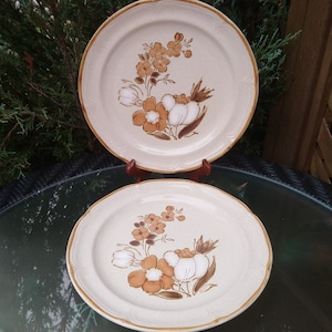 Vintage Baroque, Hearthside Stoneware, &quot;Autumn Fair&quot; Pattern, Brown, White Floral Motif With Tan Trim, 1970s, Set Of Two Dinner Plates