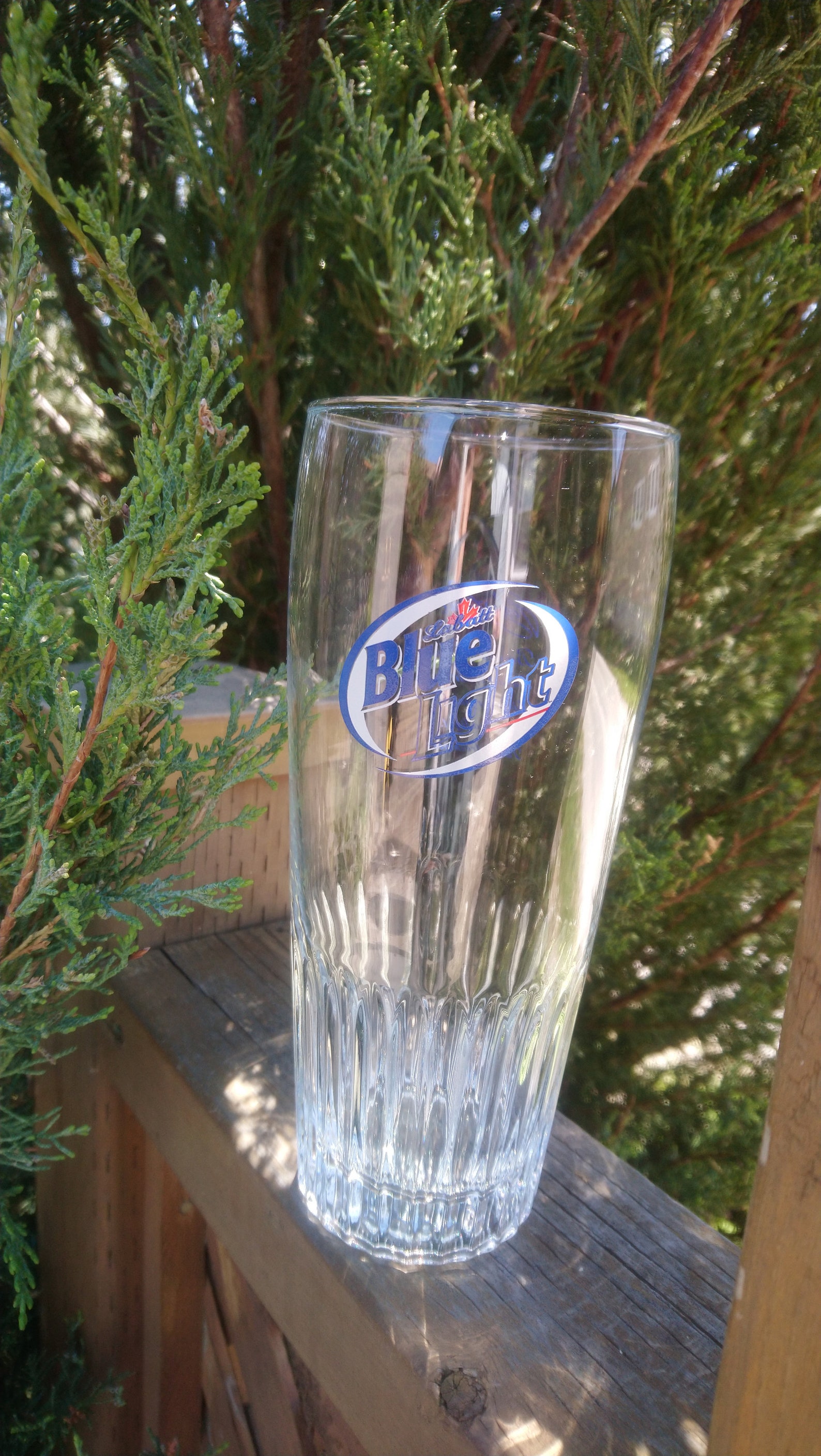 Labatt Blue Light Collectible Beer Glass Signed By John Etsy