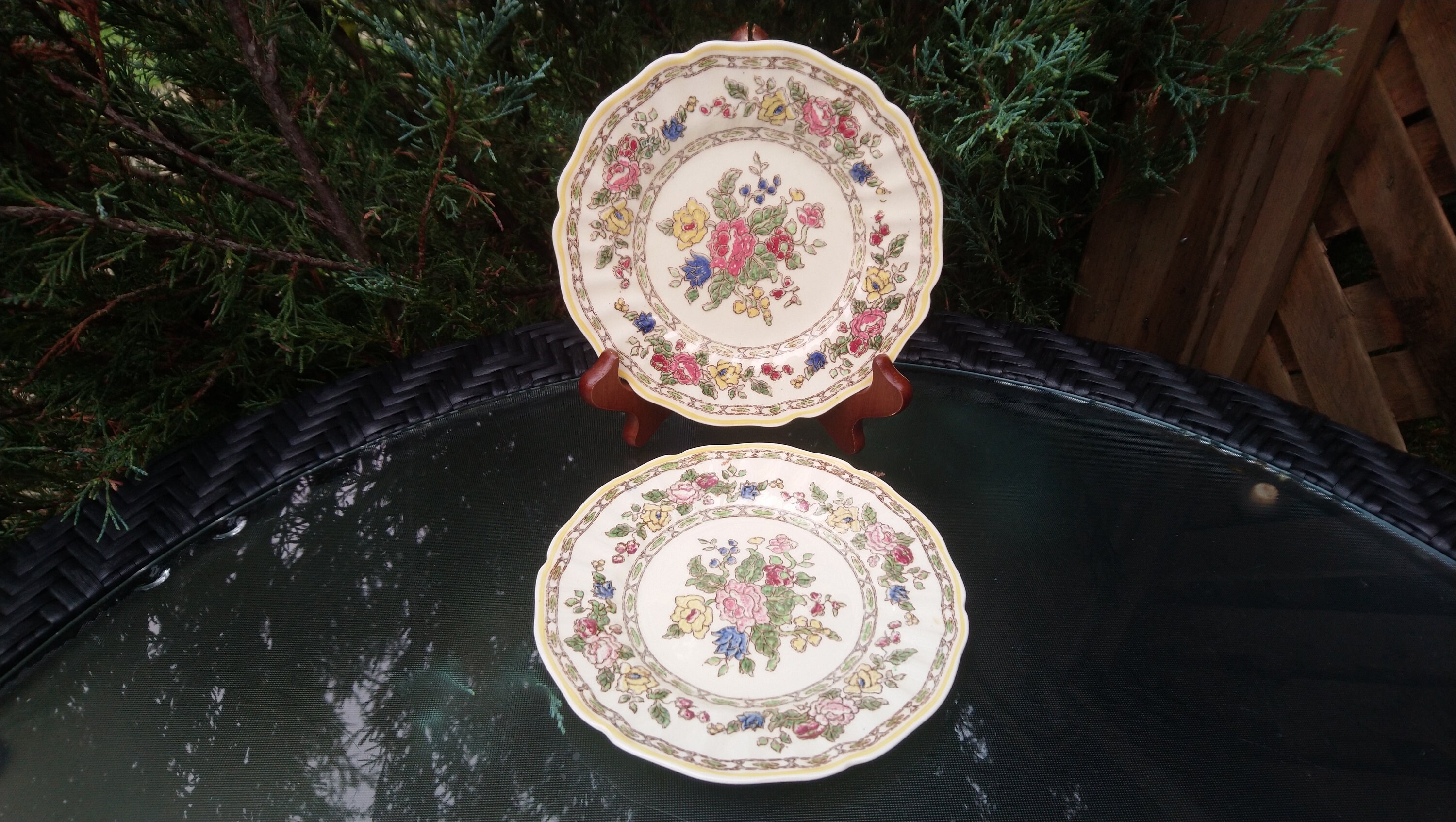 Royal Doulton the Cavendish Pattern D 5009 Discontinued 1930-1956