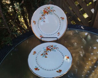 May include: Two white ceramic dinner plates with a gold rim and a floral design featuring orange, white, and green leaves. The plates are stacked on top of each other.