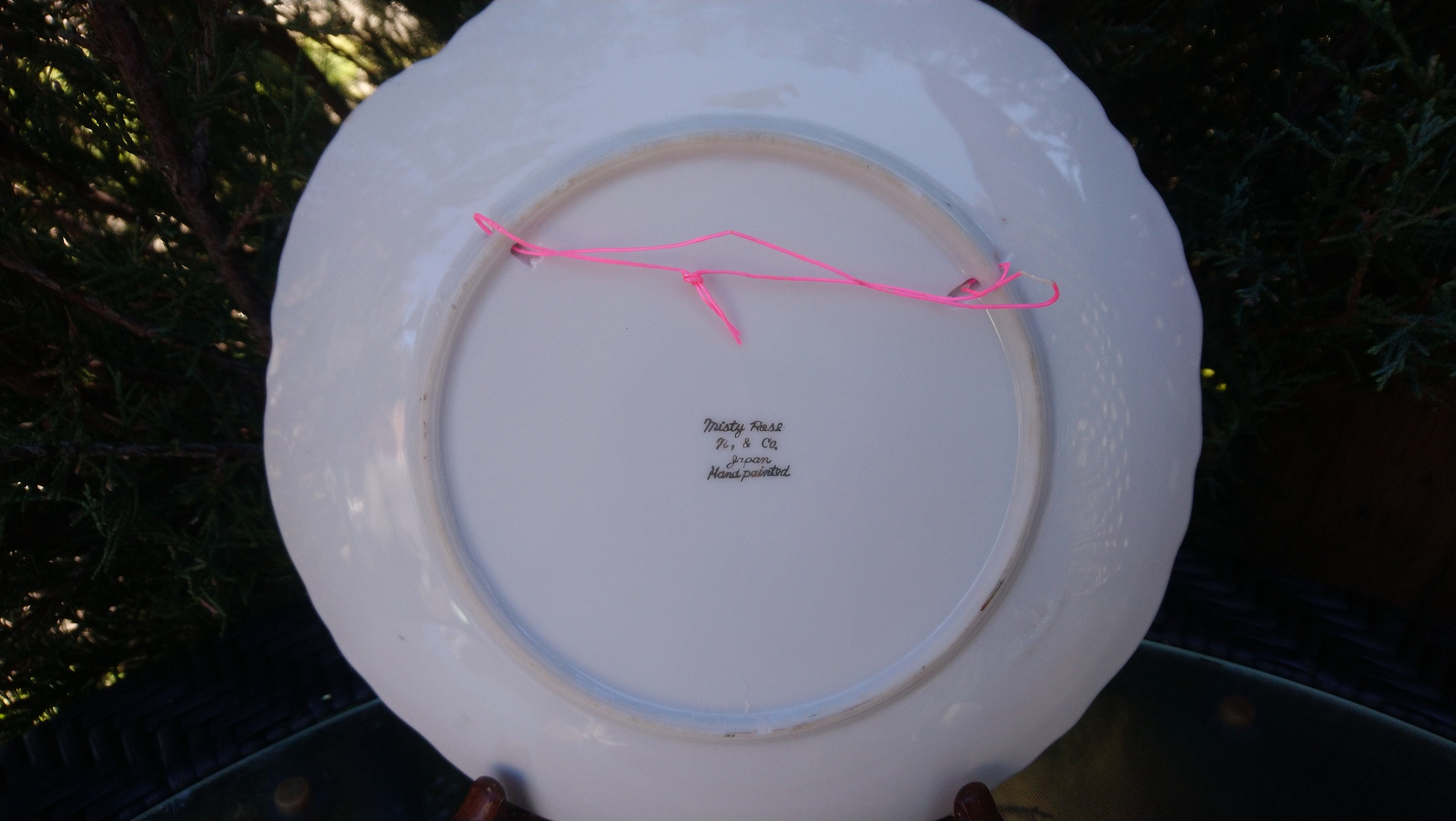 Misty Rose N&co. Japan 1950s Hand Painted Collector's Plate, Set