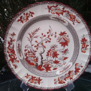 Spode Indian Tree Pattern From A Design  Vintage One Dinner Plate, Orange Rust Red Trim Scalloped Edge, Transfer Print Decoration England