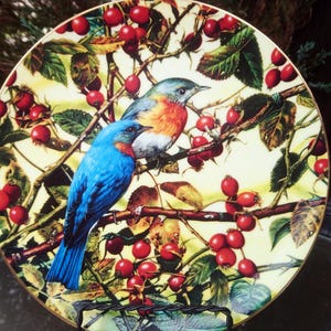 WJ George Collector&#39;s Plate, Portraits Of Exquisite Birds Series, &quot;The Beautiful Bluebird&quot;, 1990, By Carl Benders, Boxed, 8.5&quot;