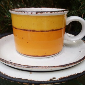 Pode incluir: Um conjunto de chávena e pires de cerâmica branca com borda castanha. A chávena tem um design de riscas amarelas, laranja e castanhas.