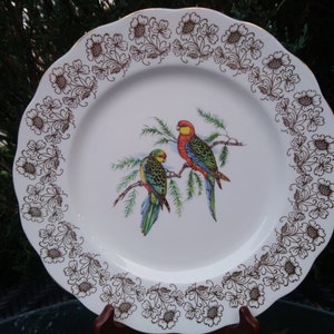 Adderley Fine Bone China Vogelteller, bunte Center Birds, Gold Blumenrand, Sammlerteller oder Schrankplatte, grün, blau, mehrfarbig