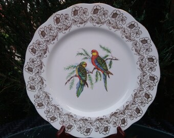 Adderley Fine Bone China Vogelteller, bunte Center Birds, Gold Blumenrand, Sammlerteller oder Schrankplatte, grün, blau, mehrfarbig