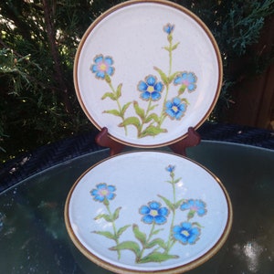 Mikasa Natural Beauty Cornflower Pattern C9007 Discontinued 1976-1979 Two Side Or Salad Plates Blue Flowers Green Leaves Stems Yellow Center