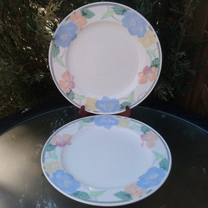 Mikasa Intaglio "Garden Poetry" Pattern, Discontinued 1987-1991, Vintage Set Of Two Plates, Blue, Yellow, Green, Peach,, Pastel Plates, Deco