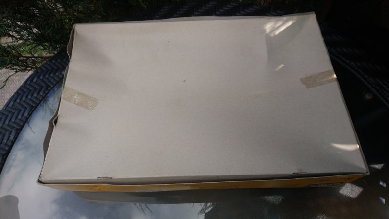 May include: A rectangular cardboard box with a light beige lid, sealed with tan tape. The box is slightly damaged, with a dented corner. The box is sitting on a glass table, with greenery in the background.