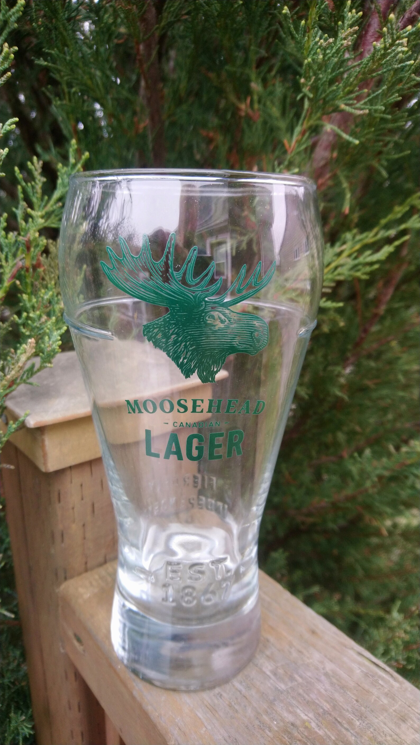Moosehead Canadian Lager Beer Glass Barware Glass Pint Etsy