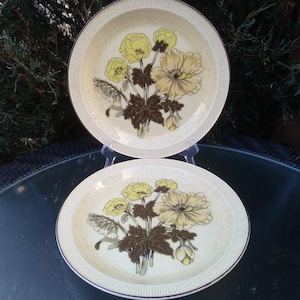 Puede incluir: Dos platos de cena de cerámica blanca con un diseño floral. Los platos presentan flores amarillas y marrones con hojas verdes. Los platos tienen un borde elevado y un borde festoneado.