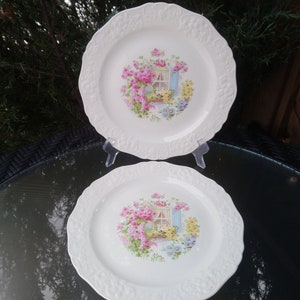 Puede incluir: Dos platos de cena de cerámica blanca con un diseño floral con flores rosas, amarillas y azules. El centro de cada plato tiene una escena de cabaña con una ventana y flores.